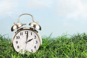 Clock in grass. Daylight saving time concept.