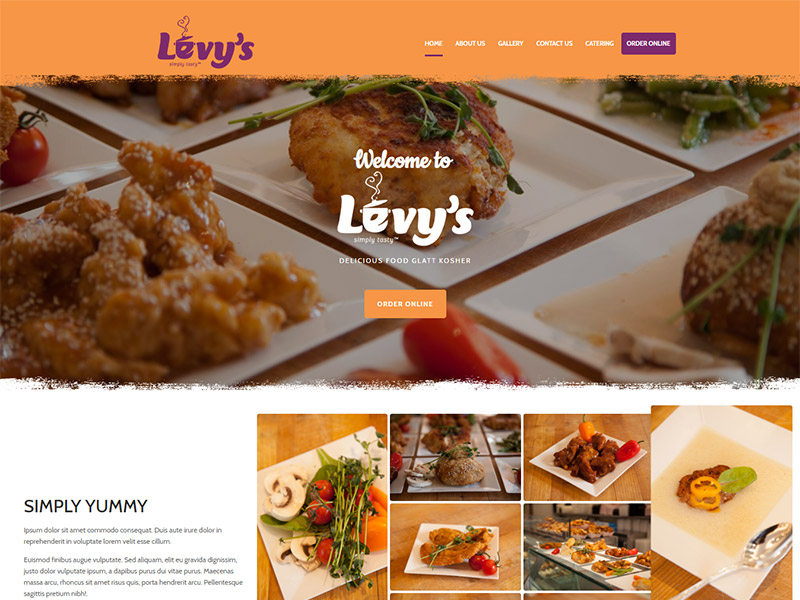 levys levys